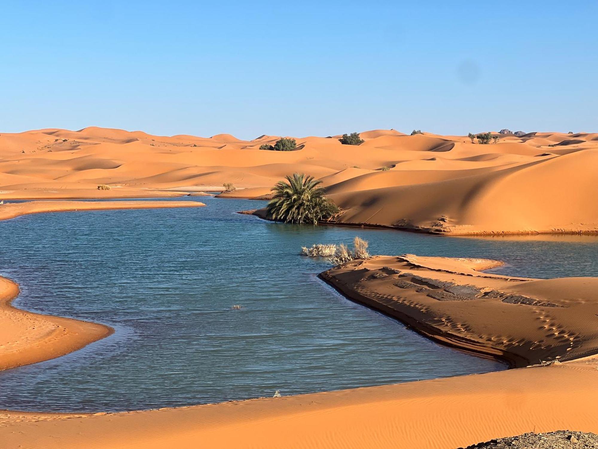 Berber Palace เมอร์ซูกา ภายนอก รูปภาพ